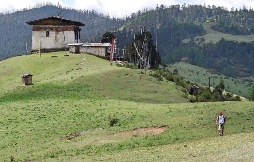Laya Trek