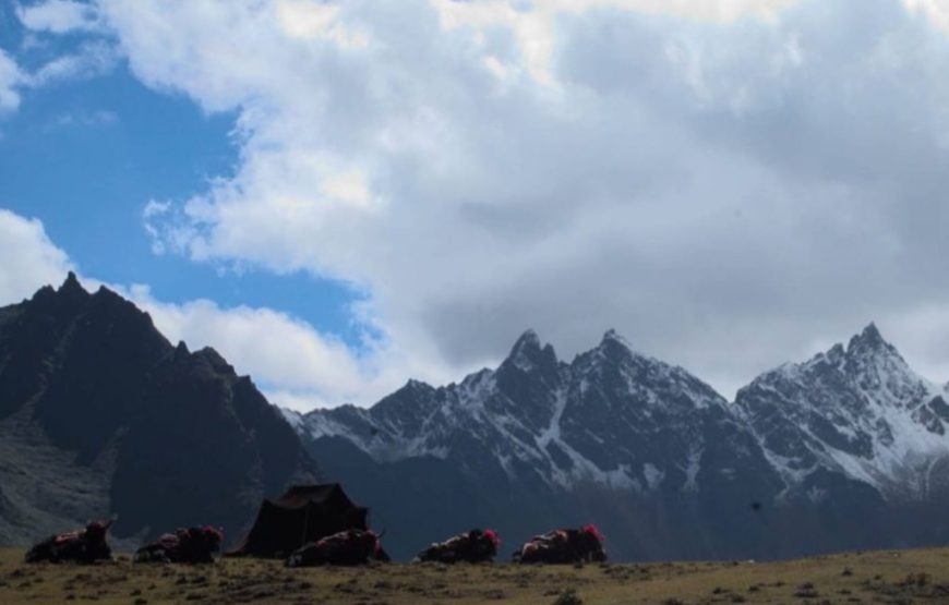 Laya Trek
