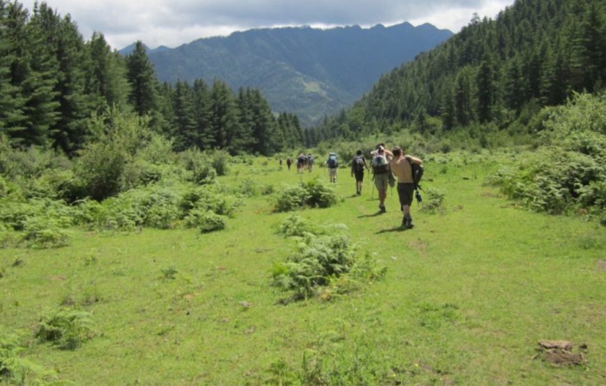 Laya Trek