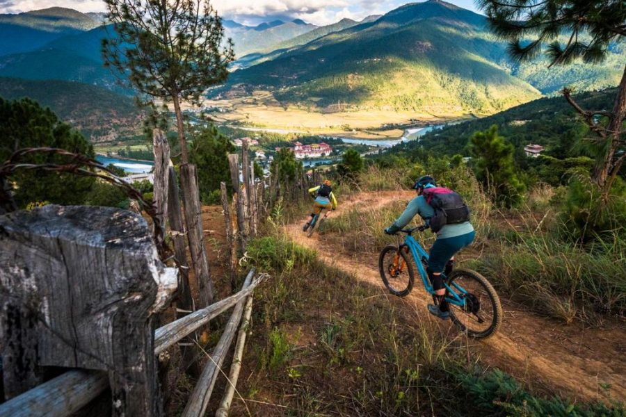 Cycling Tour