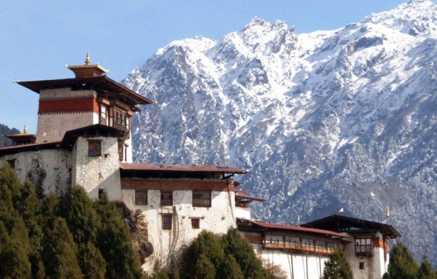 Laya Trek