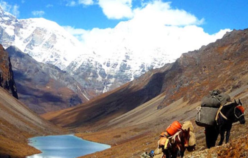 Laya Trek
