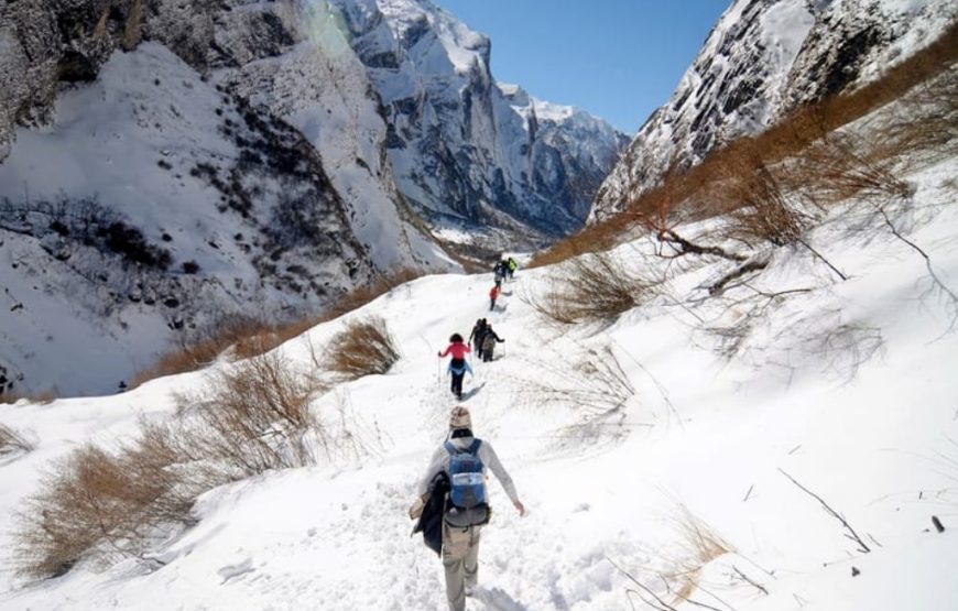 Laya Trek